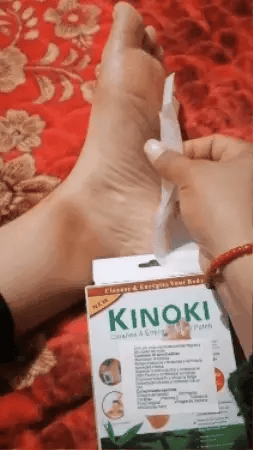 PACK DE 10 PARCHES DESINTOXICANTE KINOKI + envió GRATIS